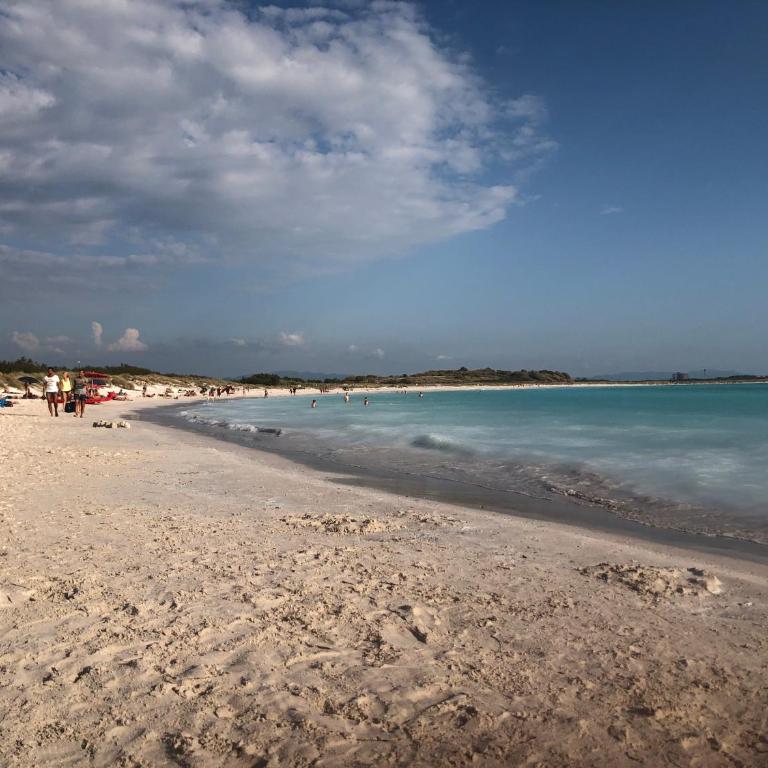 Casa in campagna a due passi dal mare - Appartamento con 1 Camera da Letto - 57
