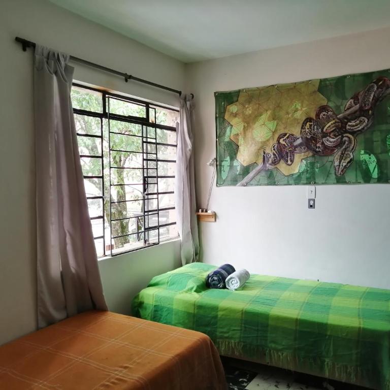 Selvática Alojamiento Eco - Habitación Doble con baño compartido - 6