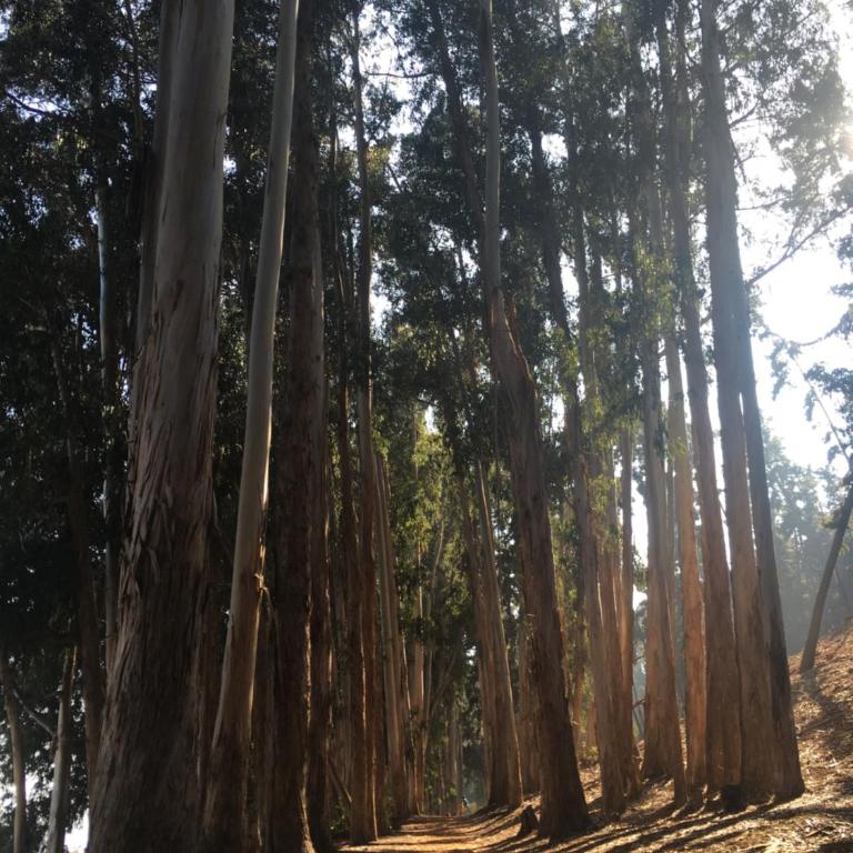 Departamento Punta Puyai - Apartment with Sea View - 26