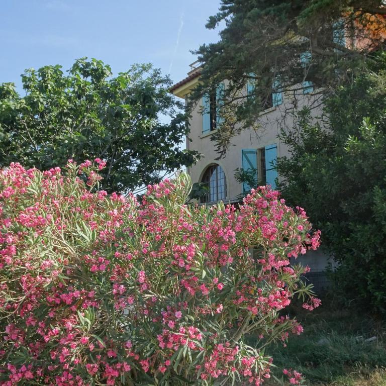 Domaine du Petit Tournebelle - Appartamento con Vista Giardino - 38