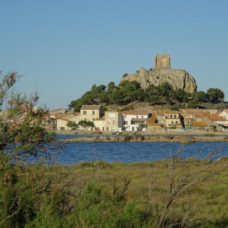 Domaine du Petit Tournebelle - Appartamento Monolocale - 22