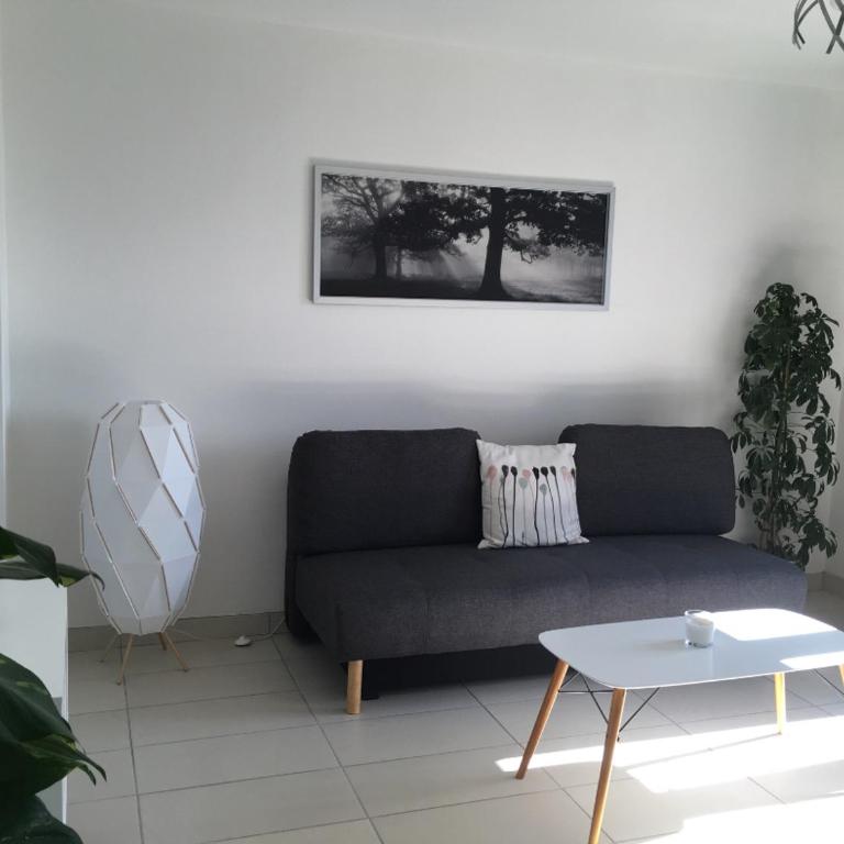 T2 Saint martin d'heres proche Campus - Appartement 1 Chambre - 1