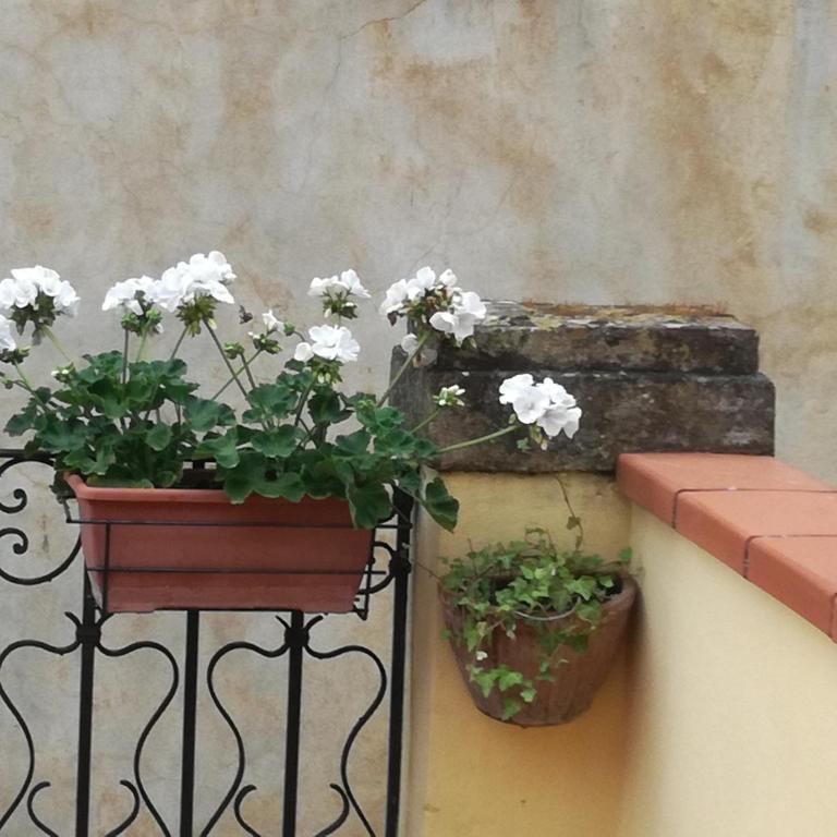 Pietrarosa Apartment - Appartamento con Terrazza - 12