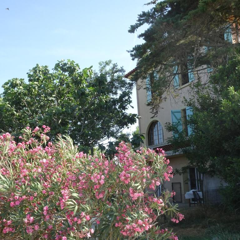 Domaine du Petit Tournebelle - Appartamento con Vista Giardino - 9
