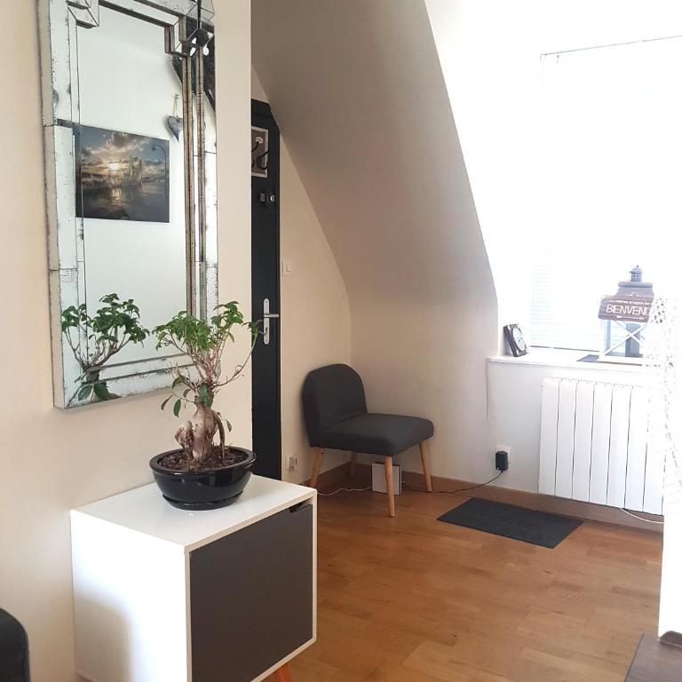 Appartement Saint Malo vue sur mer, parking vélo privé , Ferry, plage et commerces à 50 m - Appartamento con Vista Mare - 19