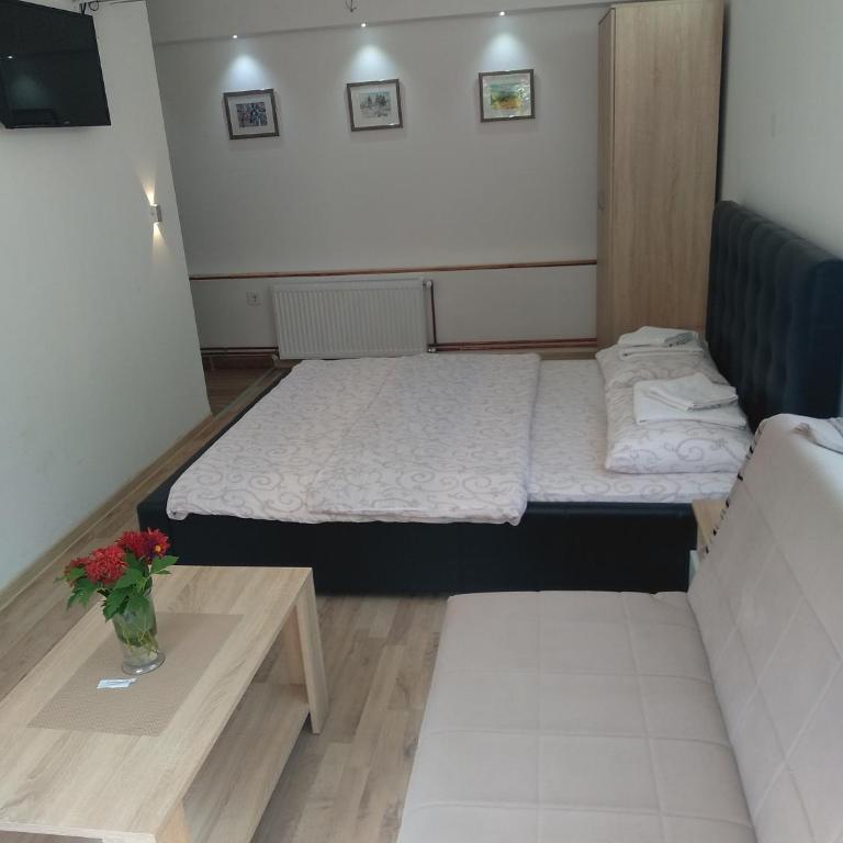Apartments & Rooms Bojic - Studio sa Bračnim Krevetom (King-size) - 4
