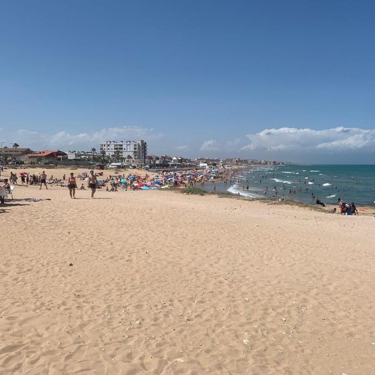 Appartement BlancoSol in La Mata - Two-Bedroom Apartment - 20
