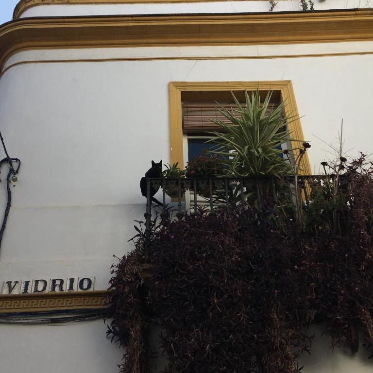 Vidrio Apartment - Apartamento - 27