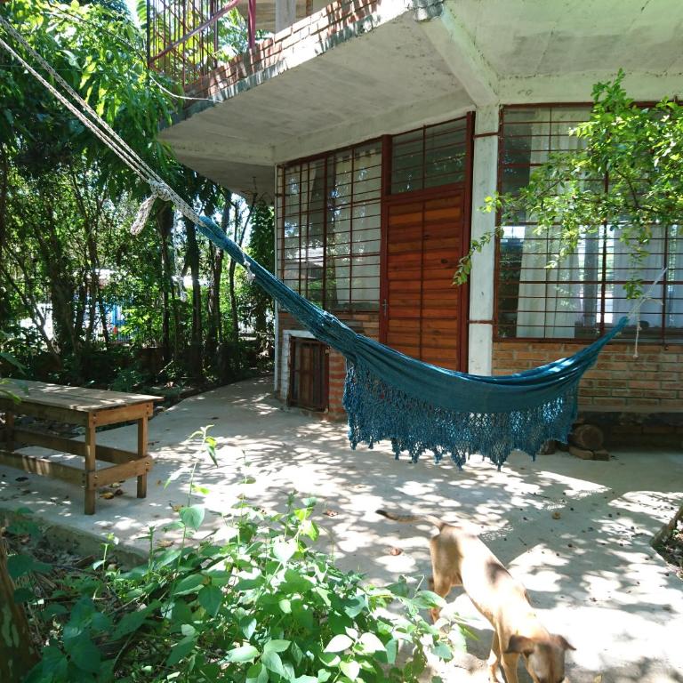 Scenario Yguazu - Apartamento de 1 dormitorio - 8