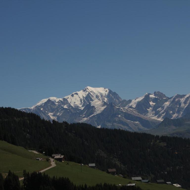 La Perle Des Alpes C2 - Apartment with Mountain View - 19