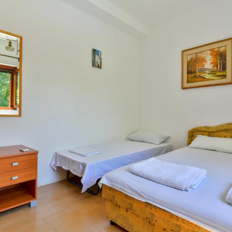 Baka Zlata Apartments - Apartman Tipa "Suite" sa Terasom - 7
