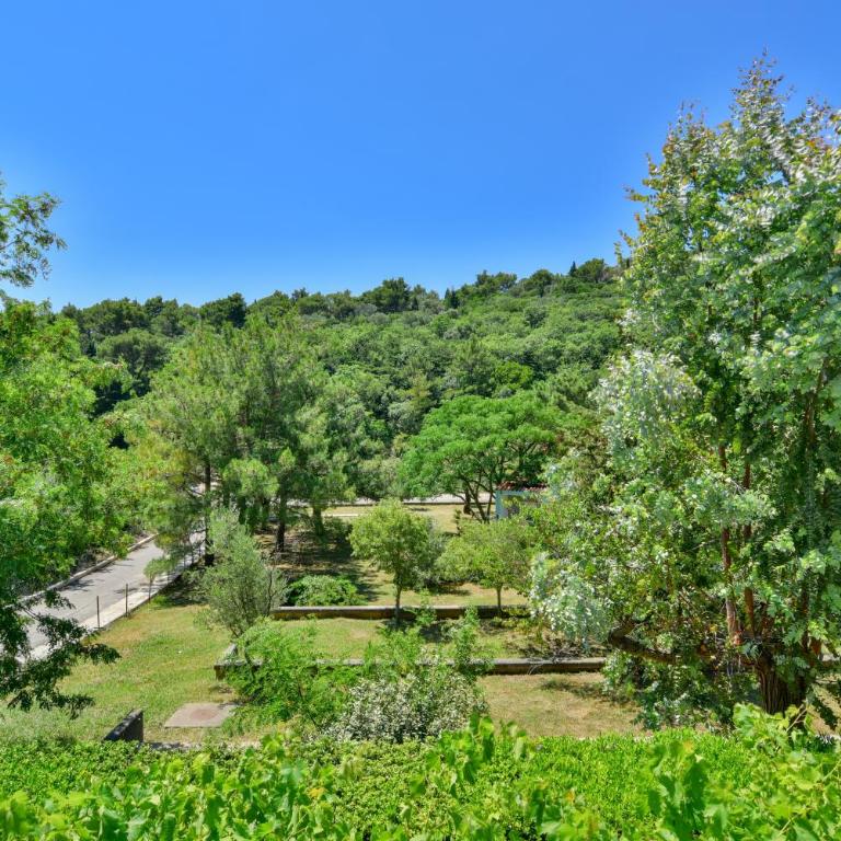Baka Zlata Apartments - Apartman Tipa "Suite" sa Terasom - 5
