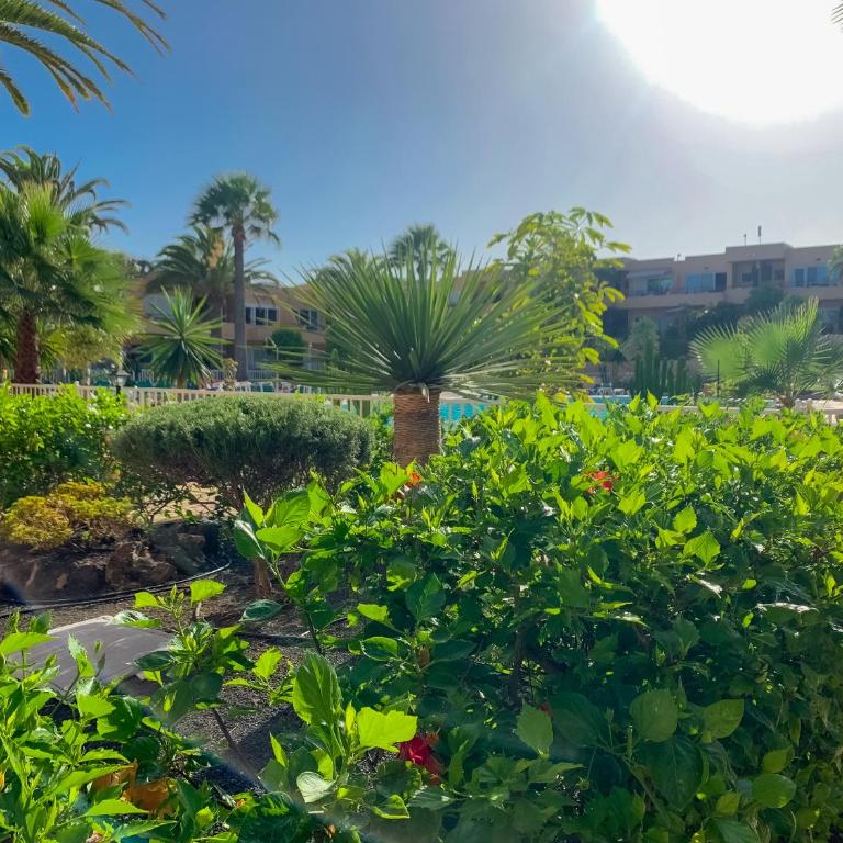 La Primera Duna - Residencial Las Dunas - Apartamento - Planta baja - 6