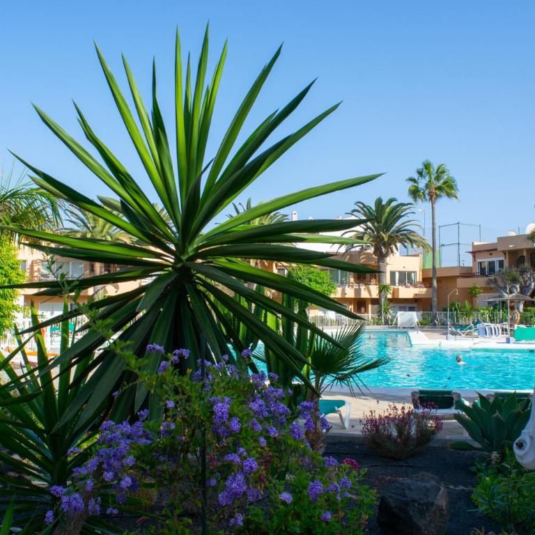 La Primera Duna - Residencial Las Dunas - Apartamento - Planta baja - 1