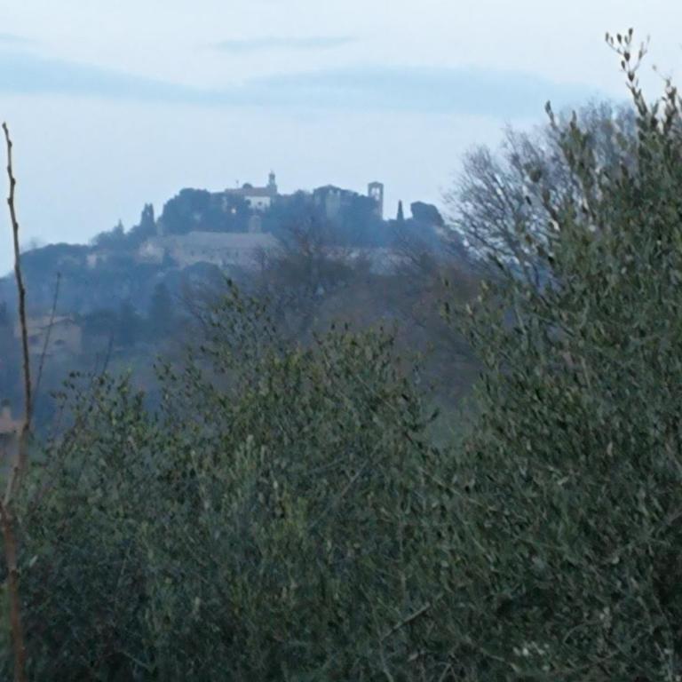 Agriturismo I Roseti - Appartamento con 1 Camera da Letto - 45