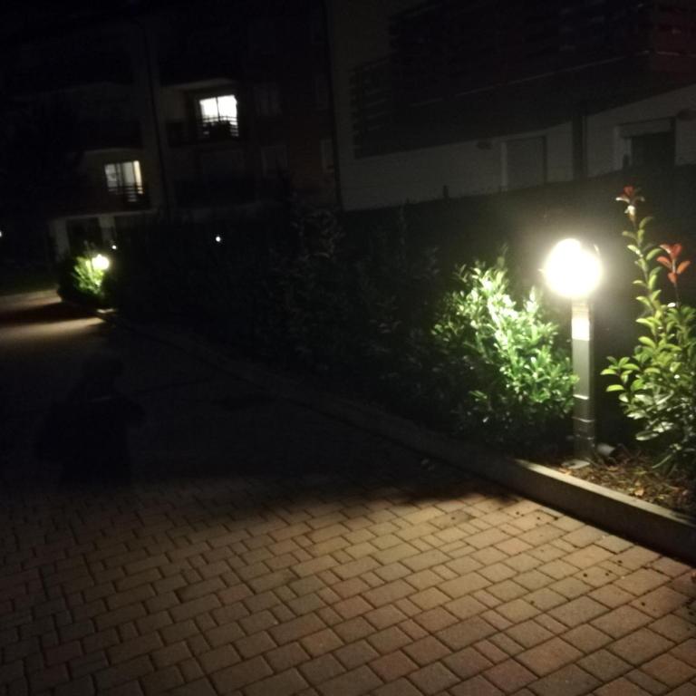 Cà delle Rose - Appartamento con Vista Giardino - 10