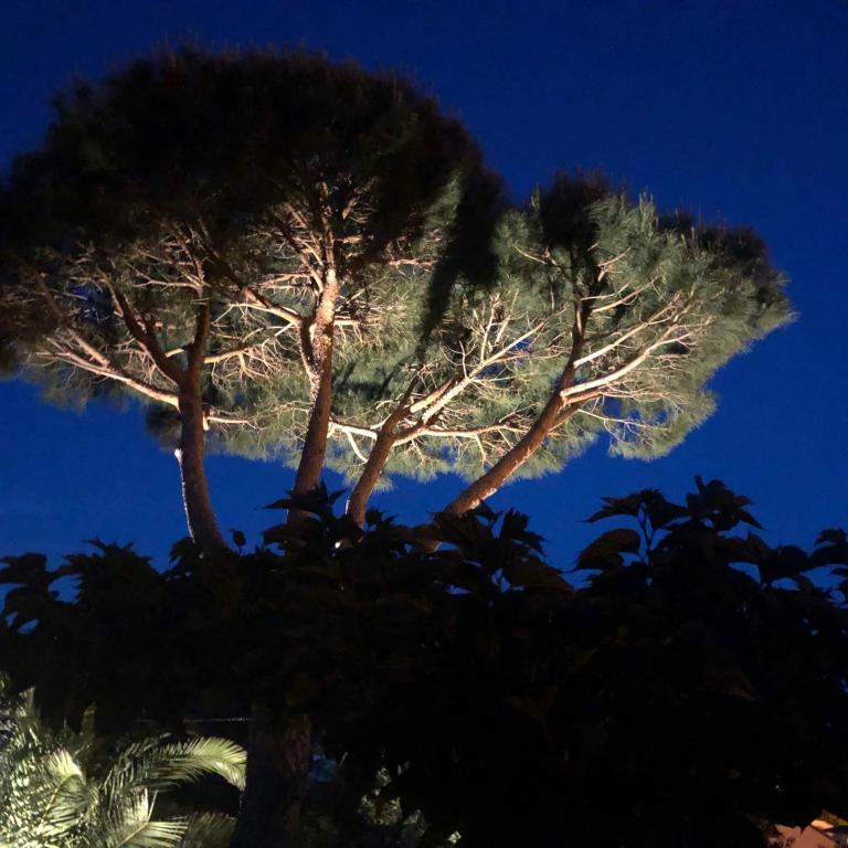 Villa Patrimoine - Villa - Vue sur Mer - 42