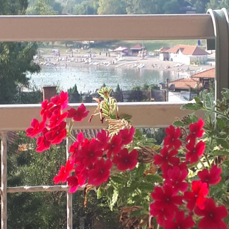 Apartman Diva - Apartman sa Pogledom na Jezero - 39