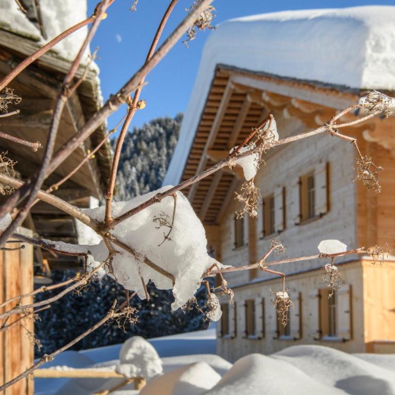Chalet Berghaus Gauertal - Chalet - 28