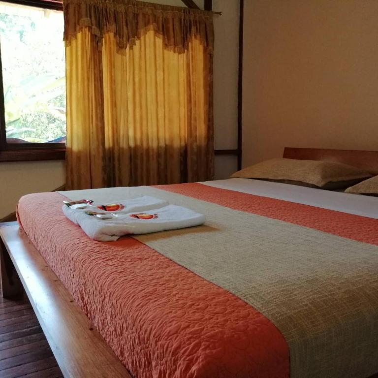 Rio Napo Lodge - Habitación Deluxe con cama extragrande - 1