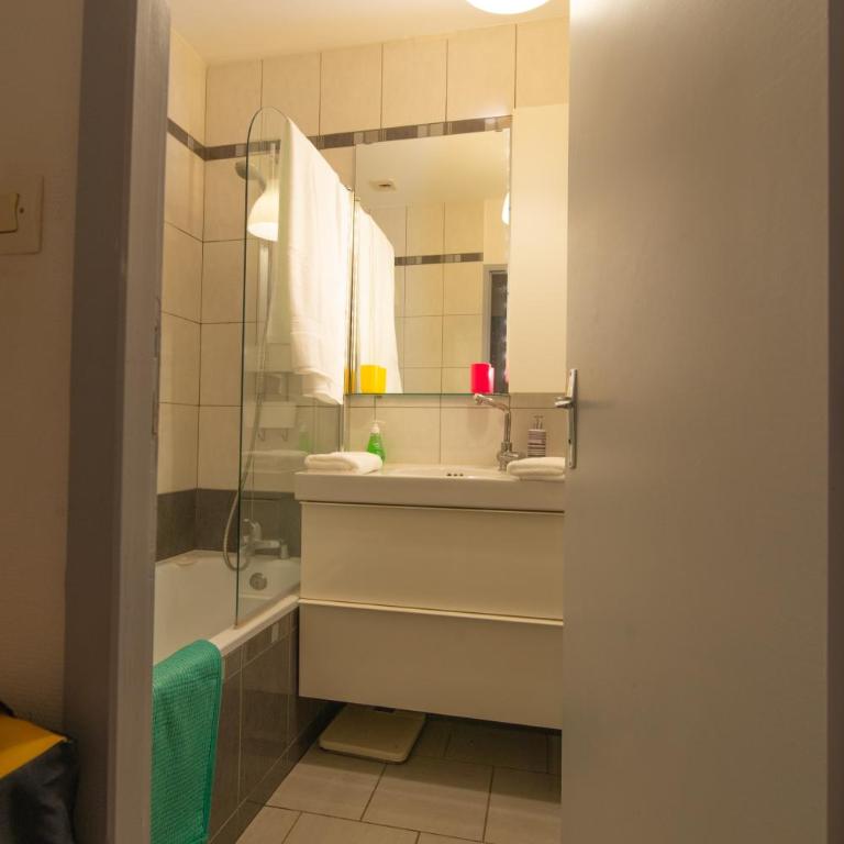 APPARTEMENT LE VITAMINE - topbnb dijon - Appartement 1 Chambre - 15