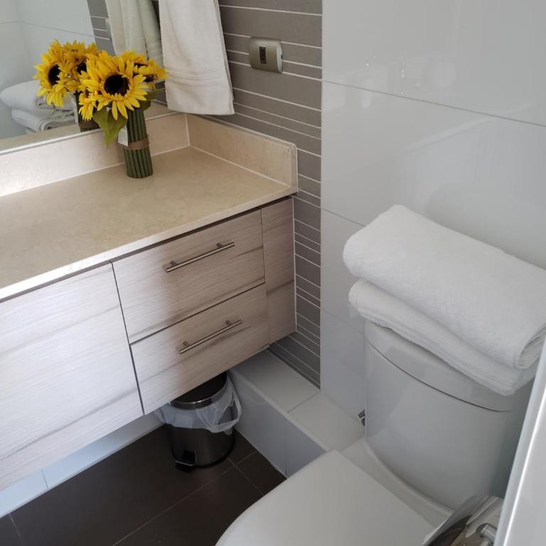 DEPARTAMENTO EDIFICIO MARES DE MONTEMAR - One-Bedroom Apartment - 5