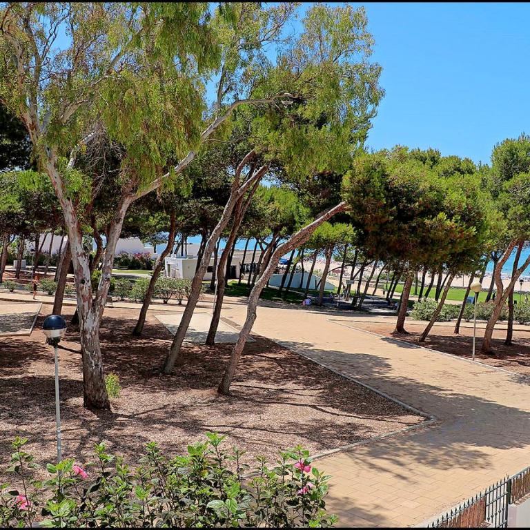 Apartamento Parque la Atalaya - Apartamento - 2