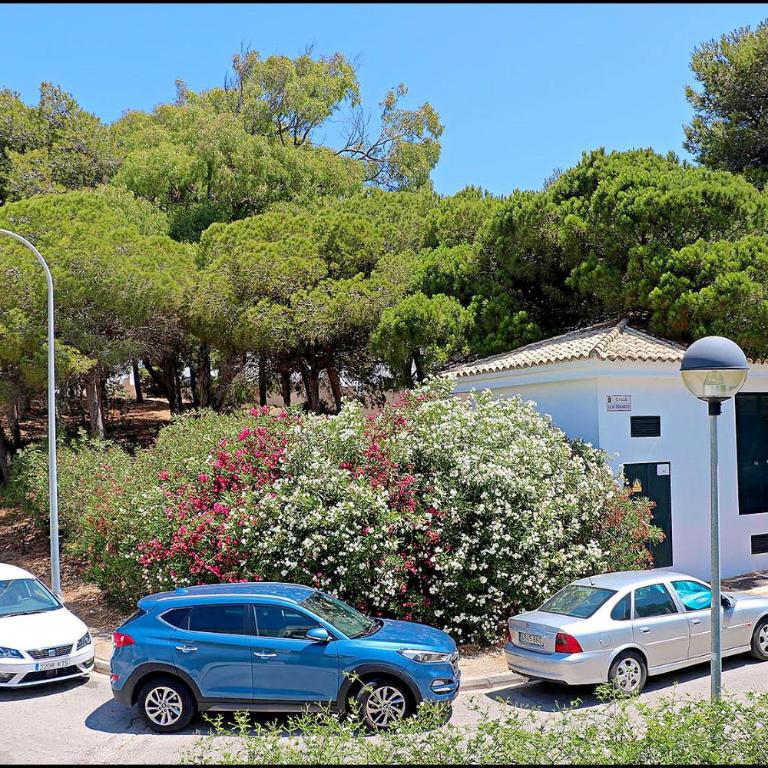 Apartamento Parque la Atalaya - Apartamento - 4