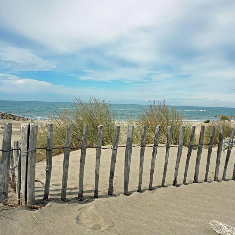 Studio 4 couchages Centre Port Du Cap d'Agde - Appartement 1 Chambre - 11