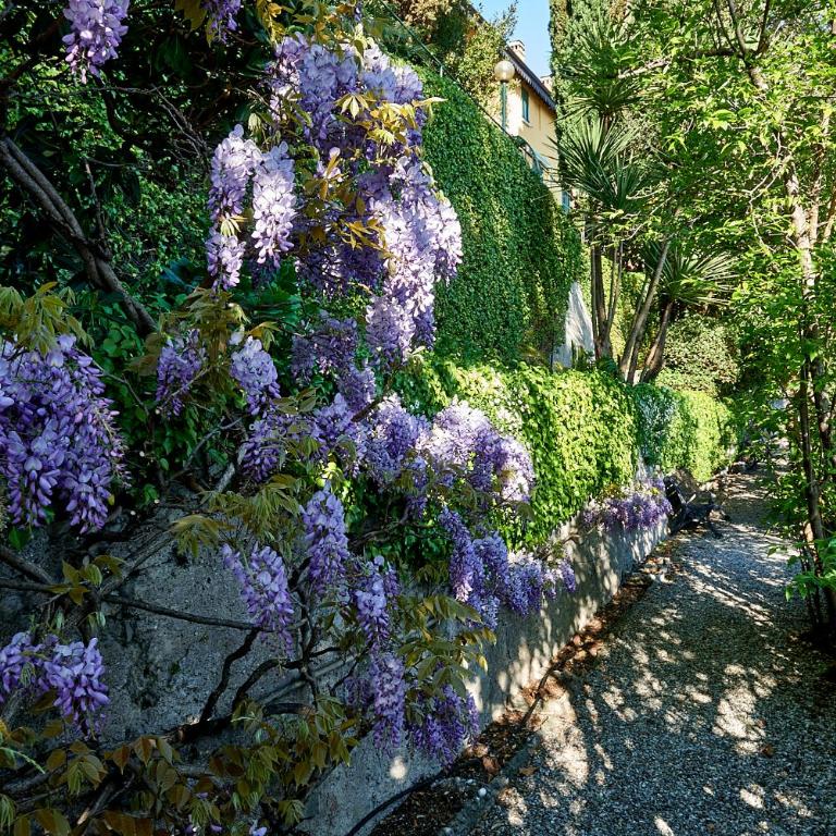 Casa Garden - Appartamento - 28
