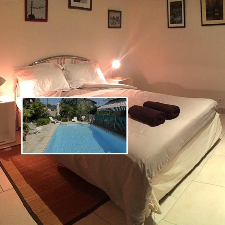 Villa Orion - Chambre Double - Vue sur Jardin - 1