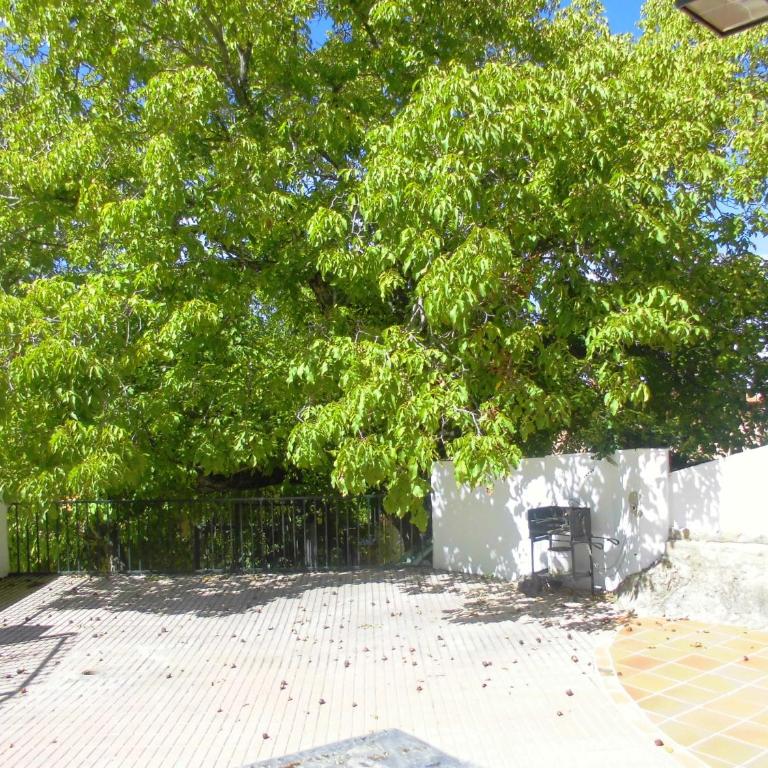 Casa Fuente De La Argamasa - Three-Bedroom House - 17