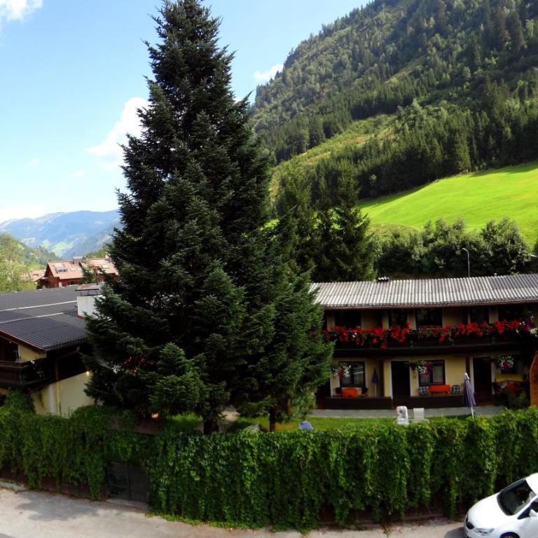 Alpen-Appartementhof - Apartment mit 1 Schlafzimmer - 1