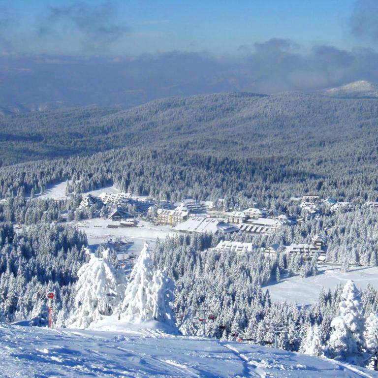 Kopaonik Superior Lux Apartman - One-Bedroom Apartment - 14