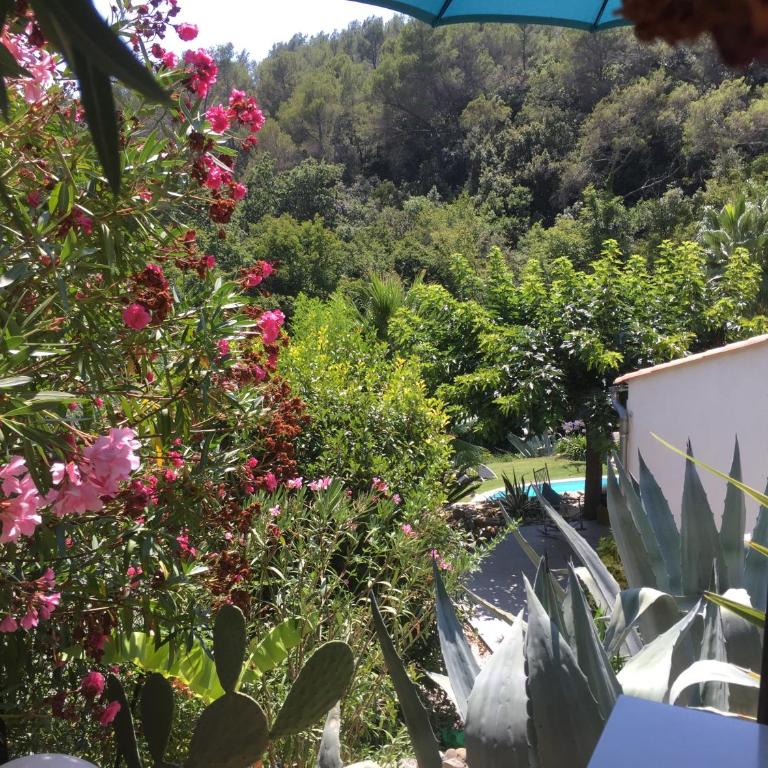 Le Maskalou - Appartement - Vue sur Jardin - 23
