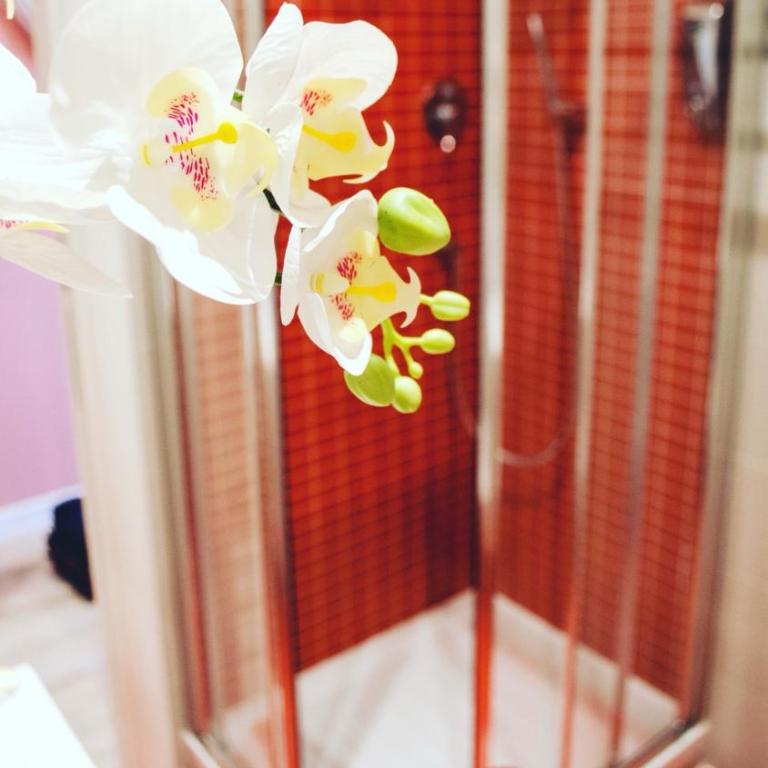 Villa Erasi - Single Room - 4