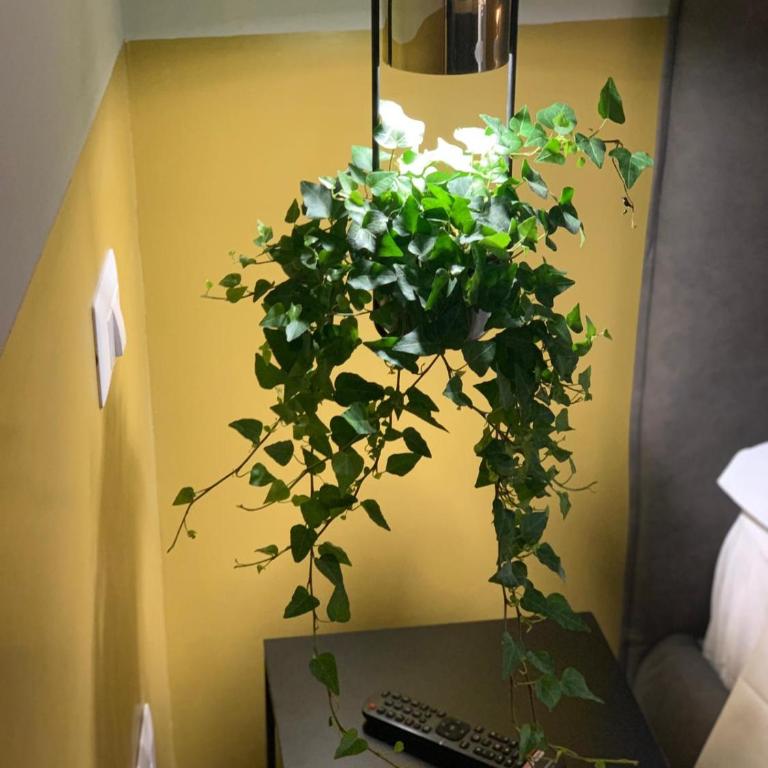 Cavour Urban Rooms by GHOR - Camera Tripla con Bagno Privato - 2