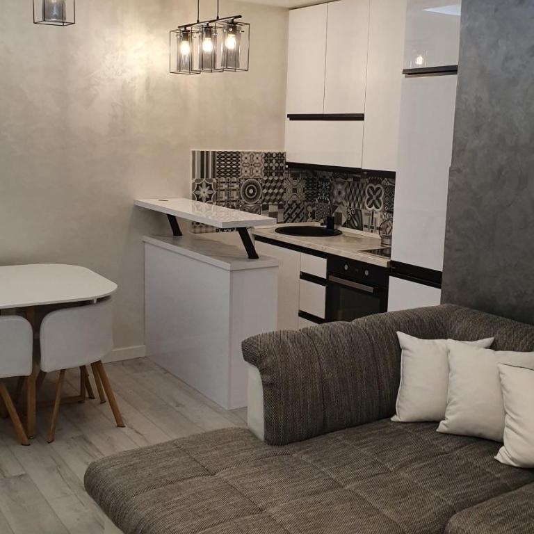Lux Spa Apartman Budva - One-Bedroom Apartment - 8