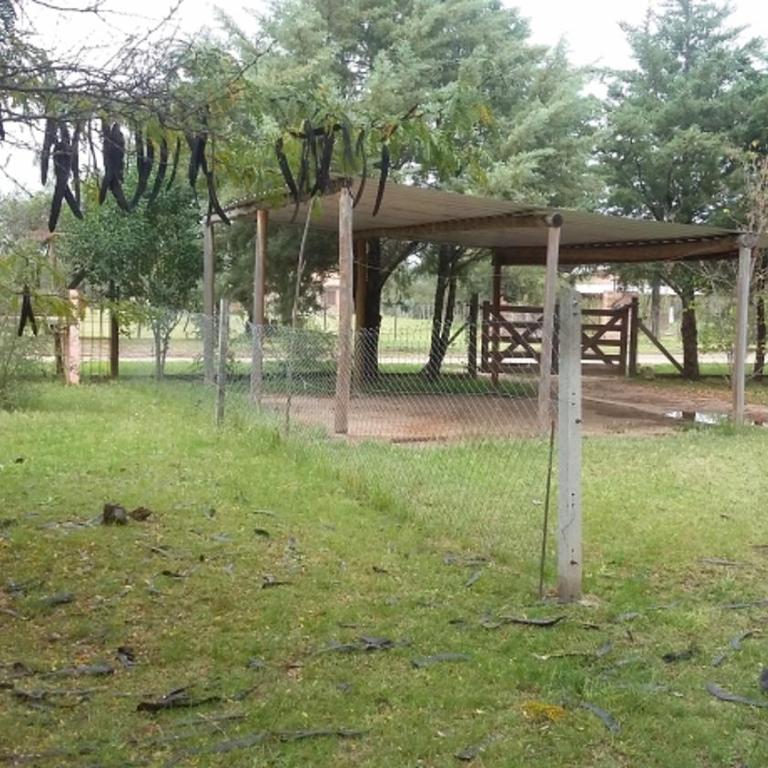 Complejo Los Sauces - Casa de 2 dormitorios - 1