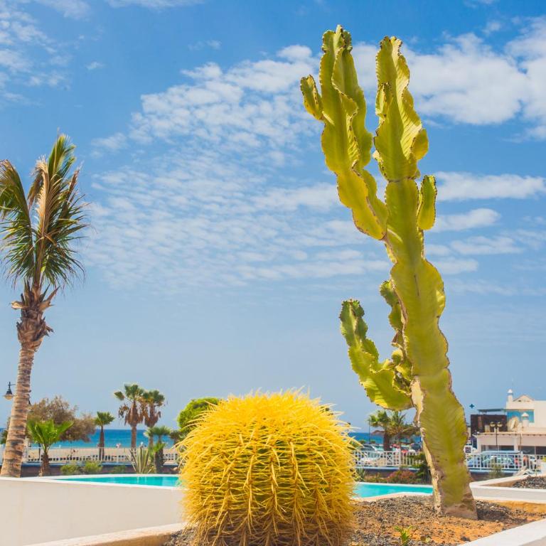 Apartamento Pluton - Two-Bedroom Apartment - 30