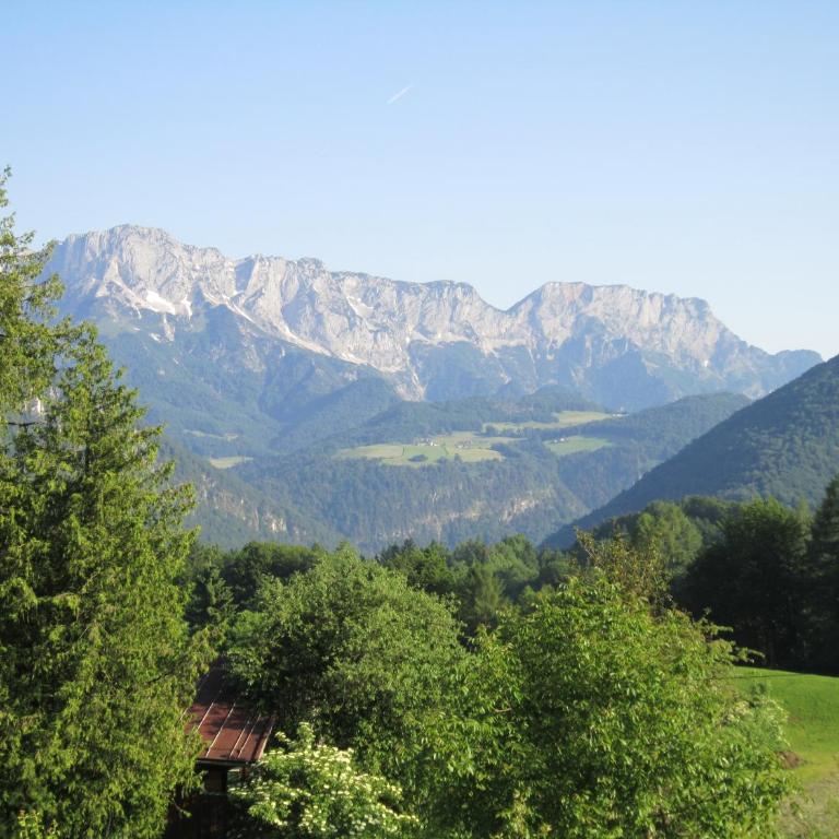 Ferienhof Bernegglehen - Apartment with Mountain View - 7
