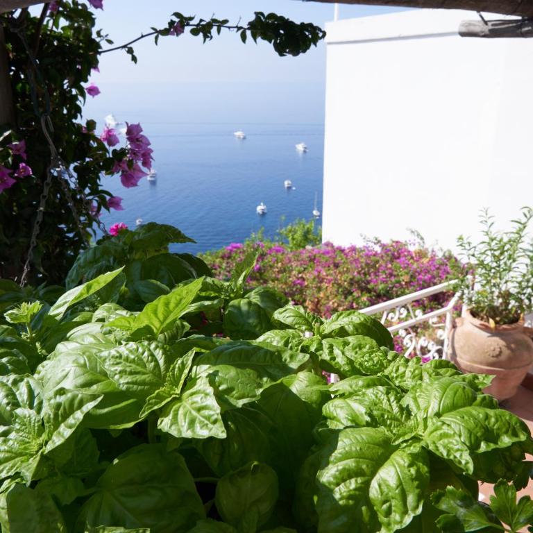 VILLA MARINA PICCOLA ai FARAGLIONI - Casa Vacanze - 16
