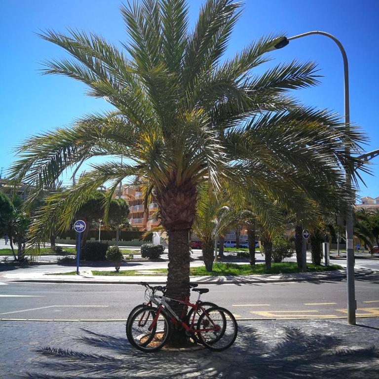 Las Alas del Mar. - Apartamento con vistas al mar - 67