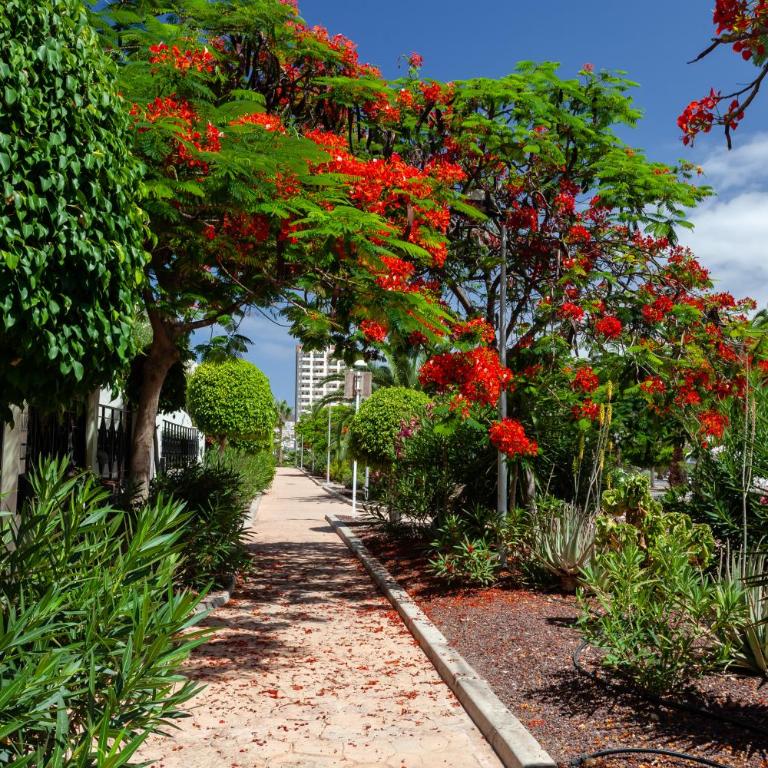 Casa Parque Tropical Ocean View - Apartamento - 2 niveles - 38