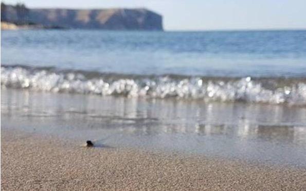 ACOGEDOR Y PRECIOSO ÁTICO EN JAVEA Primera línea playa - Apartamento de 2 dormitorios - 54