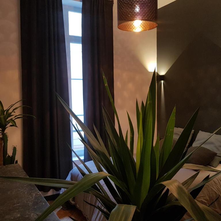Loft Zen Rouen - Jacuzzi - Centre Historique - Apartment - 13
