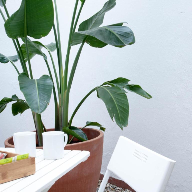 Entrenaranjos - Apartamento de 1 dormitorio - 3