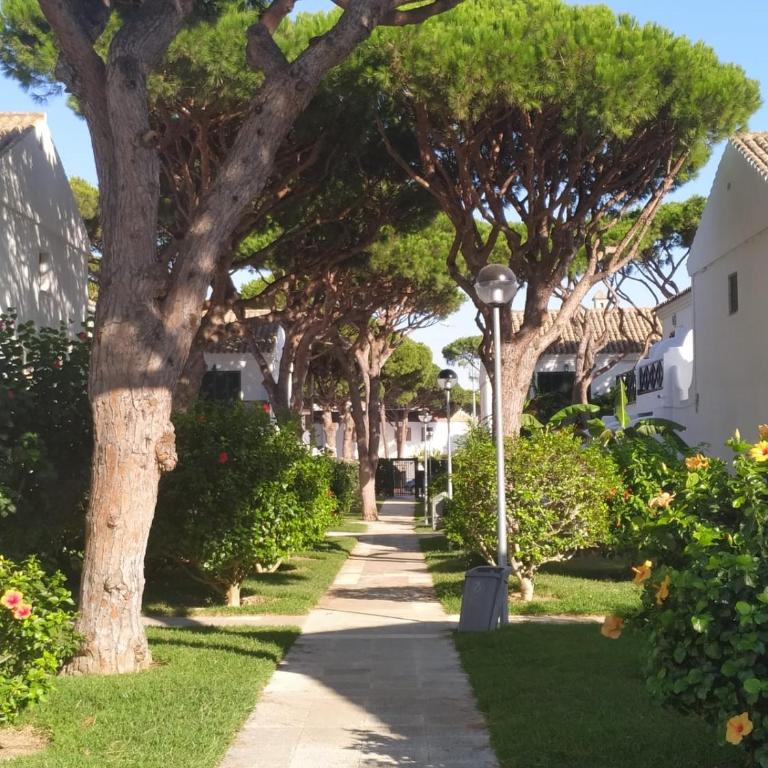 La Barrosa duplex - Casa de 2 dormitorios - 60