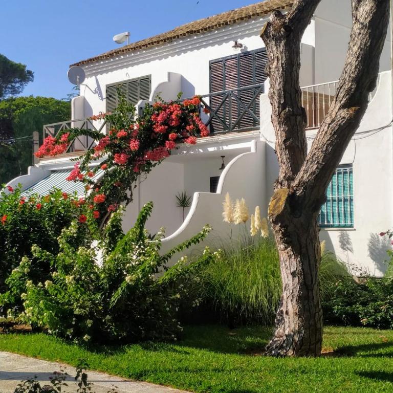 La Barrosa duplex - Casa de 2 dormitorios - 50