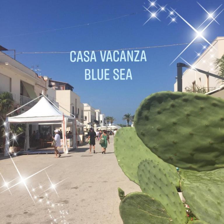 Casa Vacanza Blue Sea - Appartamento - 78